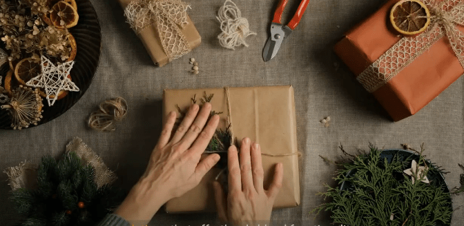 Crafting Sustainable Packaging Solutions for a Greener Future
